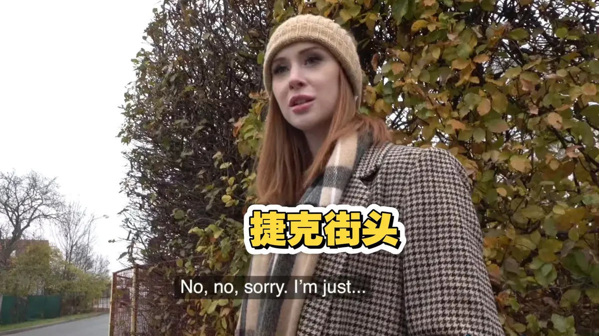 《捷克街头钞能力搭讪系列》2025电影无广告高清完整版在线观看-免费全集资源-小小影院