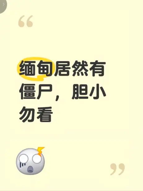 缅甸僵尸出土事件-高清无删减免费观看-揭秘缅北神秘事件真相完整录像