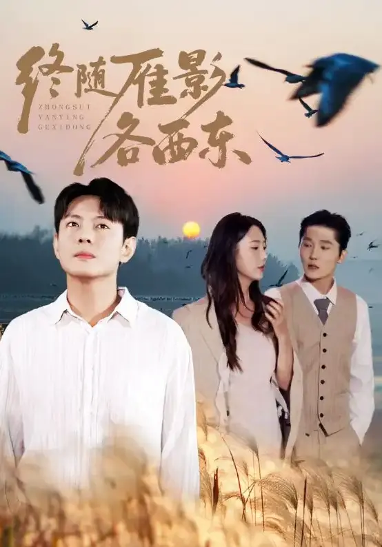 《终随雁影各西东》全集免费看 - 在线短剧高清无删减版 - 支持迅雷/百度云下载 - 86集完整资源