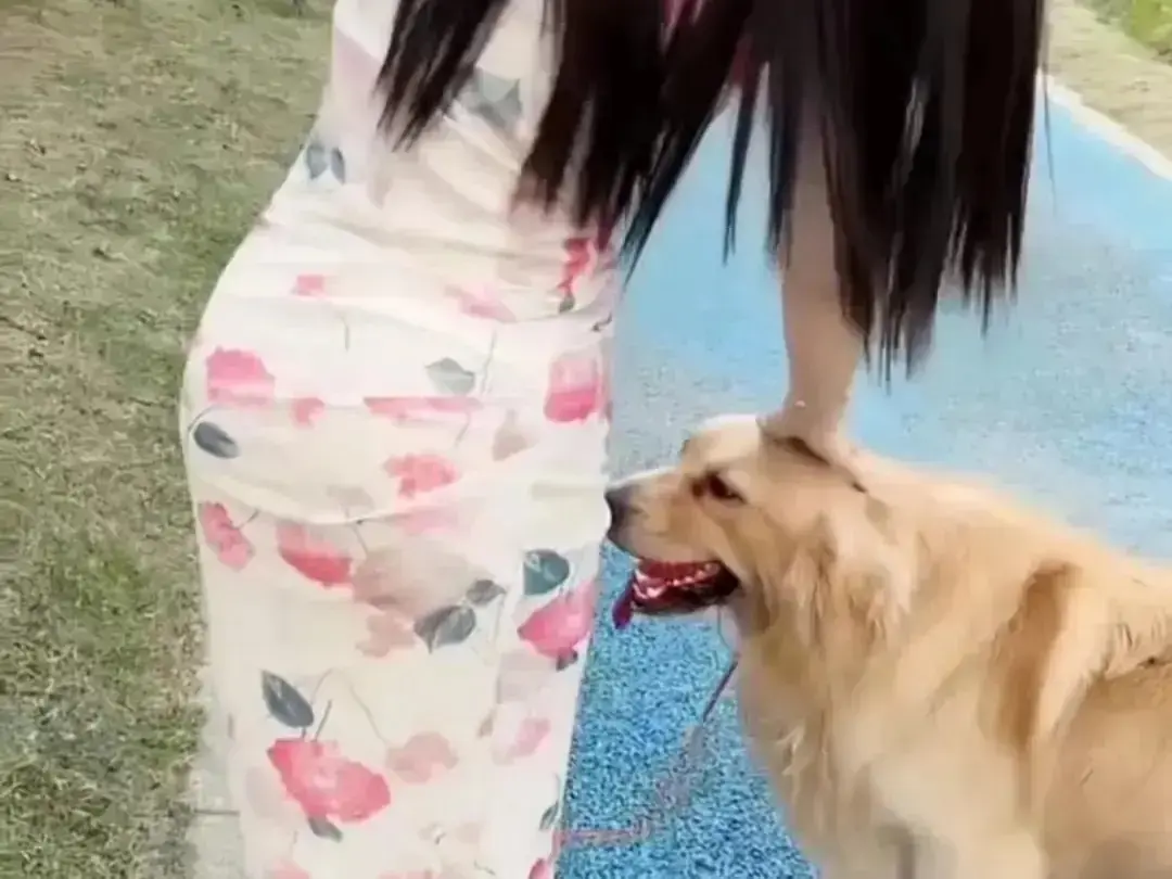 《抖音香香公主与爱犬金毛》高能日常互动完整版在线高清免费观看-抖音香香公主与爱犬撒娇名场面直播回放无广告网盘资源秒播-香香公主与爱犬金毛在线吃瓜全收录