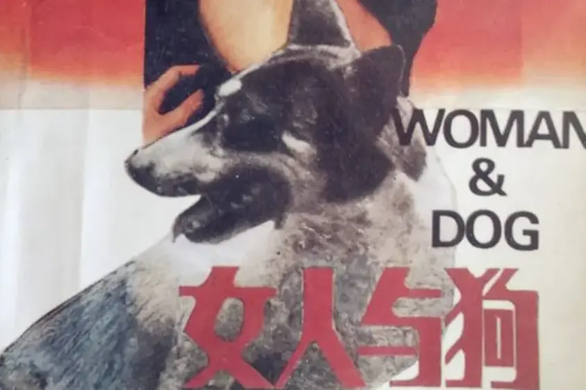《女人与狗》HD 1080P蓝光高清在线播放-欧美剧情片女人与狗全集完整版免费看-无缓冲无删减畅享观影