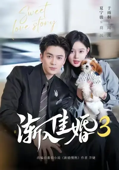 《渐入佳婚3》全集免费在线观看-1080P高清无删减版《渐入佳婚3》完整版-河马短剧高清播放平台