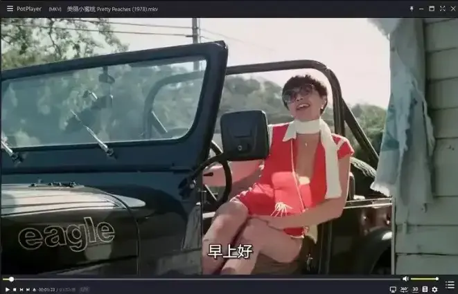 《美丽小蜜桃》未删减版免费观看-1978年美国复古喜剧电影《美丽小蜜桃》高清中字完整版-在线播放